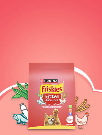 Friskies kitten discoveries on a red background 